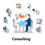IT based consulting Services